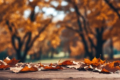 Autumn leaves on wooden surface