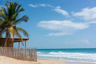Palm Trees Beach Hut Tropical Ocean