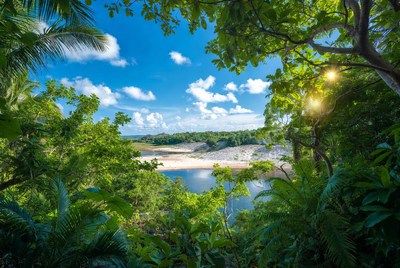 Tropical Lagoon Framed by Palm Trees