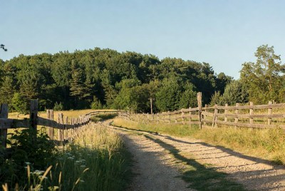 Wooden fence along grassy path