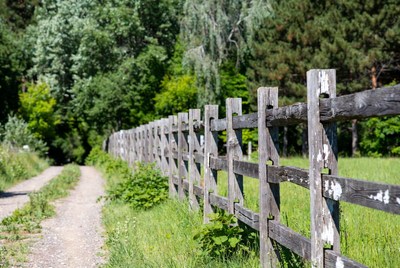 Wooden fence along forest path