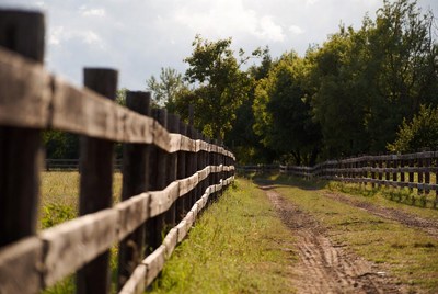 Wooden fence along dirt path