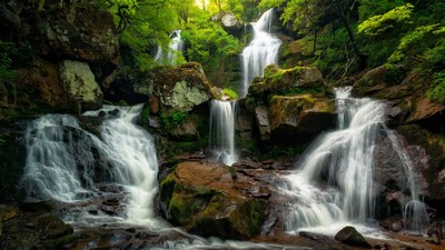 Multiple waterfalls cascading in lush green forest