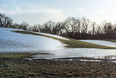 Snowy Hills with Bare Trees