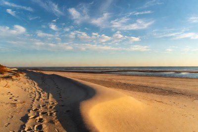 Footprints in sand on beach