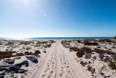 Footprints Leading to Beach Ocean