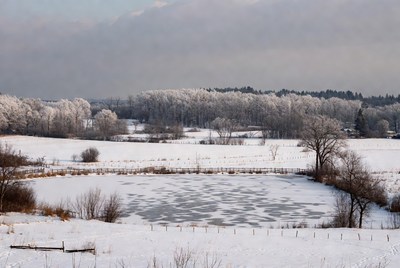 Winter Landscape with Frosty Trees and Pond