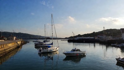 Sailboats and Motorboats in Harbor