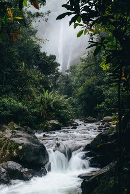 Waterfall in Tropical Rainforest