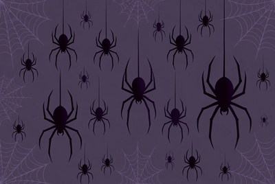 Black Spiders on Purple Web Background