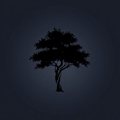 Silhouette of Tree on Dark Background