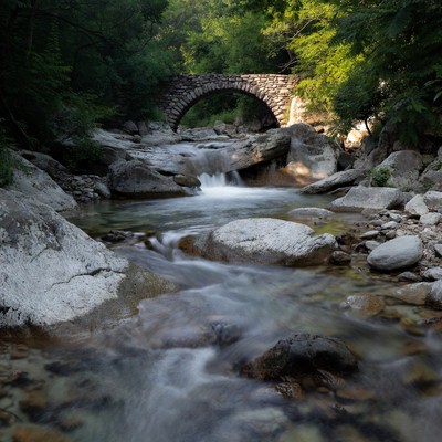 Stone Arch Bridge over Forest Stream
