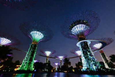 Gardens by the Bay Supertrees at Night