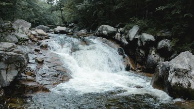 Waterfall cascading over rocks in forest