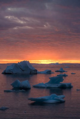 Icebergs in Arctic Sunset