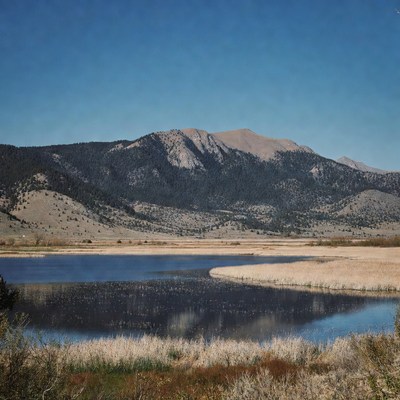 Mountain Lake with Reeds