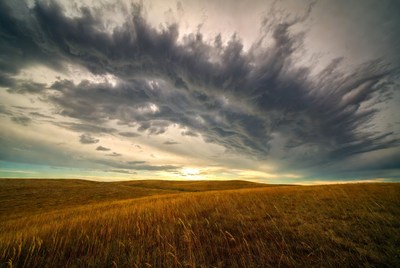 Dramatic stormy sky over golden grassland