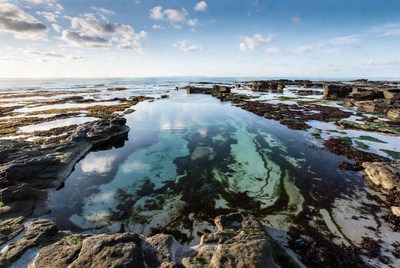 Tidal Pool in Rocky Ocean Shoreline