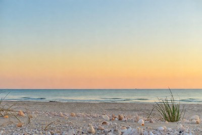 Seashells on beach at sunset