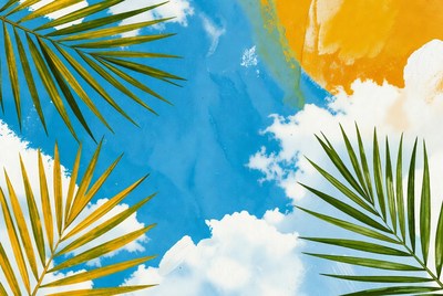 Tropical Palm Leaves on Blue Sky