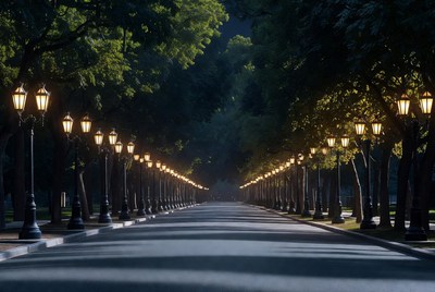 Tree-Lined Path with Glowing Street Lamps