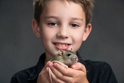 Boy holding pet rat
