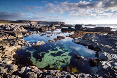 Tidal Pools in Rocky Coastal Landscape
