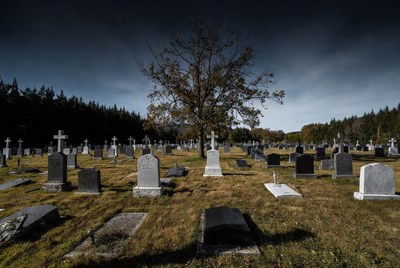 Cemetery with gravestones and bare tree