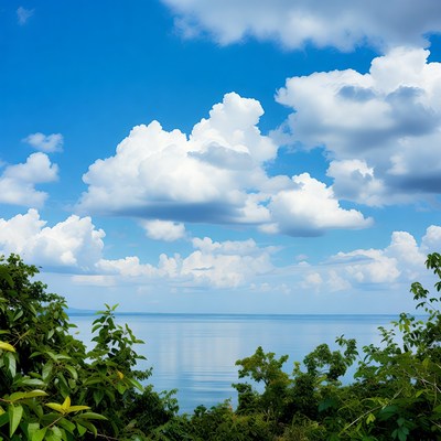Ocean View Through Tropical Foliage