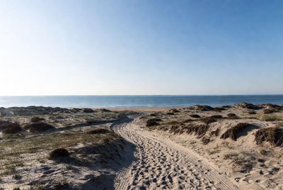 Sandy path to ocean beach