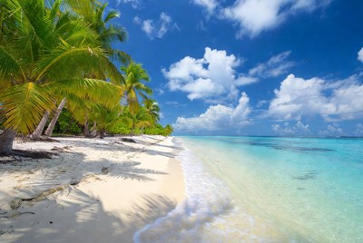 Tropical beach with palm trees
