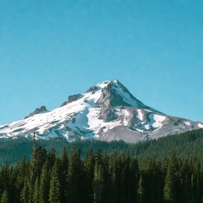 Mount Hood Snowy Peak