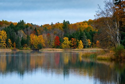 Autumn Forest Reflected in Lake