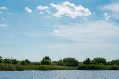 Blue sky over lake and green reeds