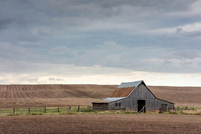 Old Barn in Rolling Fields