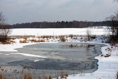 Frozen Pond in Snowy Field