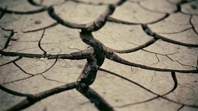 Cracked Dry Ground Texture
