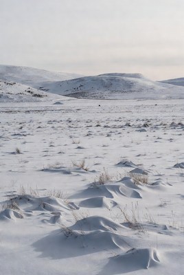 Snowy Hills and Grassy Plains Landscape
