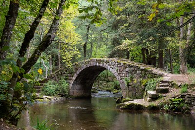 Stone Arch Bridge over Forest Stream