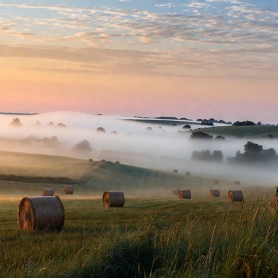 Hay bales in misty sunrise field