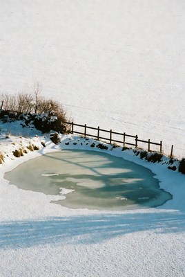 Frozen Pond in Snowy Field