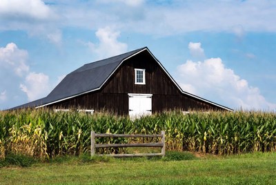 Red barn in cornfield