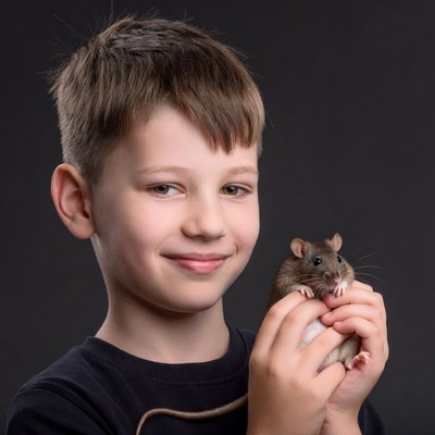 Boy holding pet rat