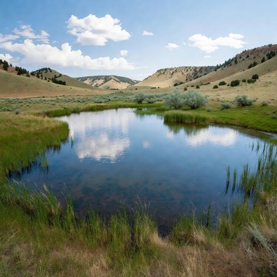 Scenic pond in grassy mountain valley
