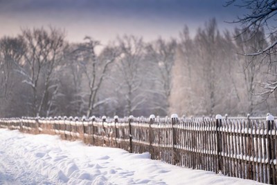 Snowy Wooden Fence in Winter Forest