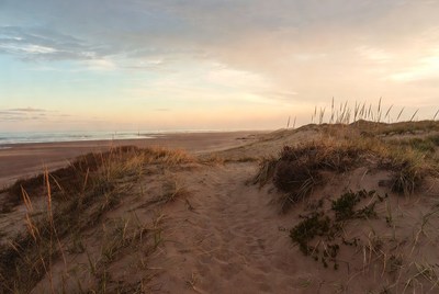 Beach Dunes Path at Sunset