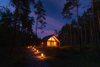Lit wooden cabin in pine forest night