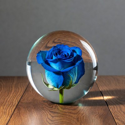 Blue Rose in Glass Sphere