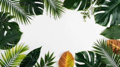 Tropical Leaves Frame on White Background