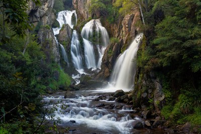 Majestic waterfalls cascading in forest